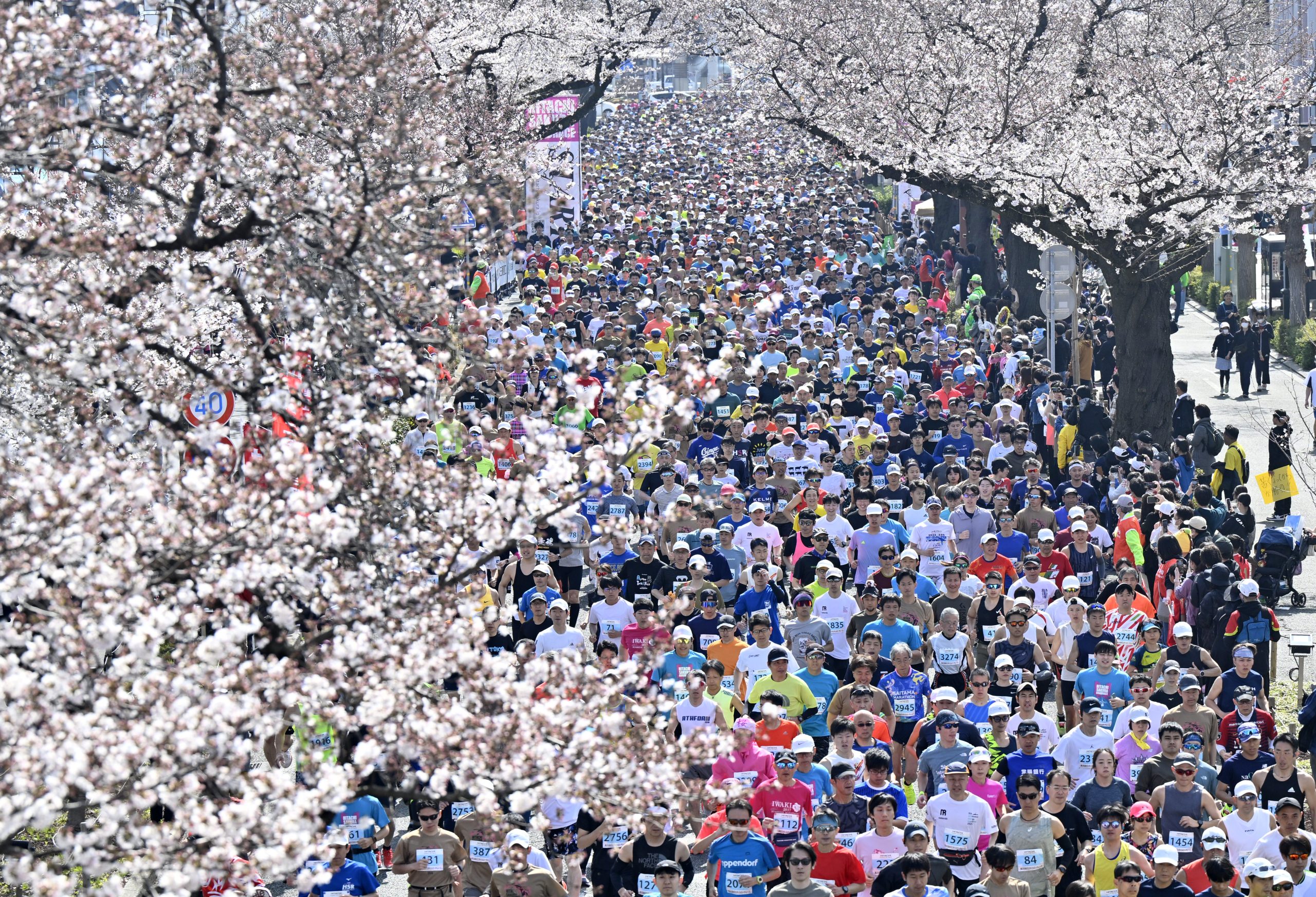 7463ハーフスタート